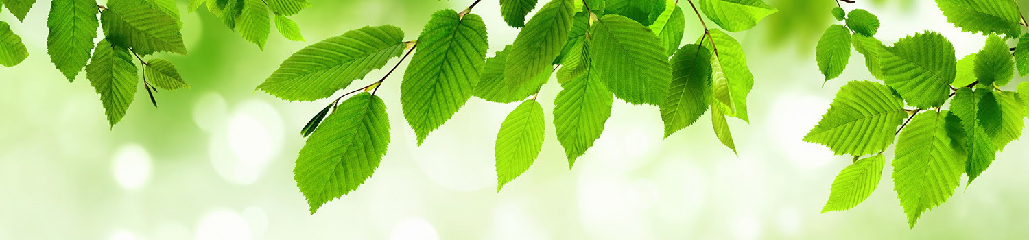 Glutathion bei postviraler Fatigue