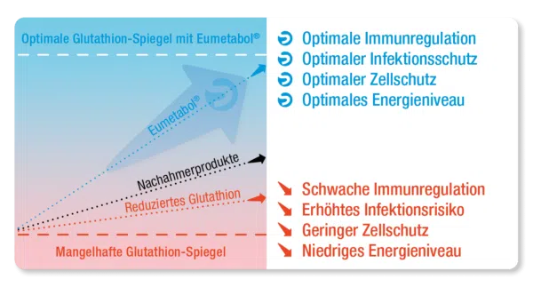 Diagramm: Optimale Glutathion-Spiegel mit Eumetabol® führen zu optimaler Immunregulation, optimalem Infektionsschutz, optimalem Zellschutz und optimalem Energieniveau. Nachahmerprodukte und reduziertes Glutathion bleiben darunter: schwache Immunregulation, erhöhtes Infektionsrisiko, geringer Zellschutz, niedriges Energieniveau.